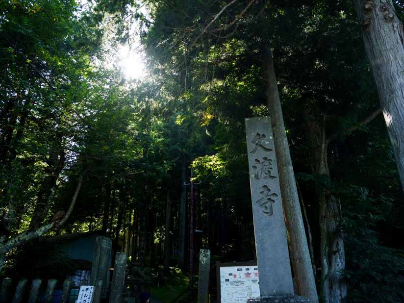 最新プロジェクト画像